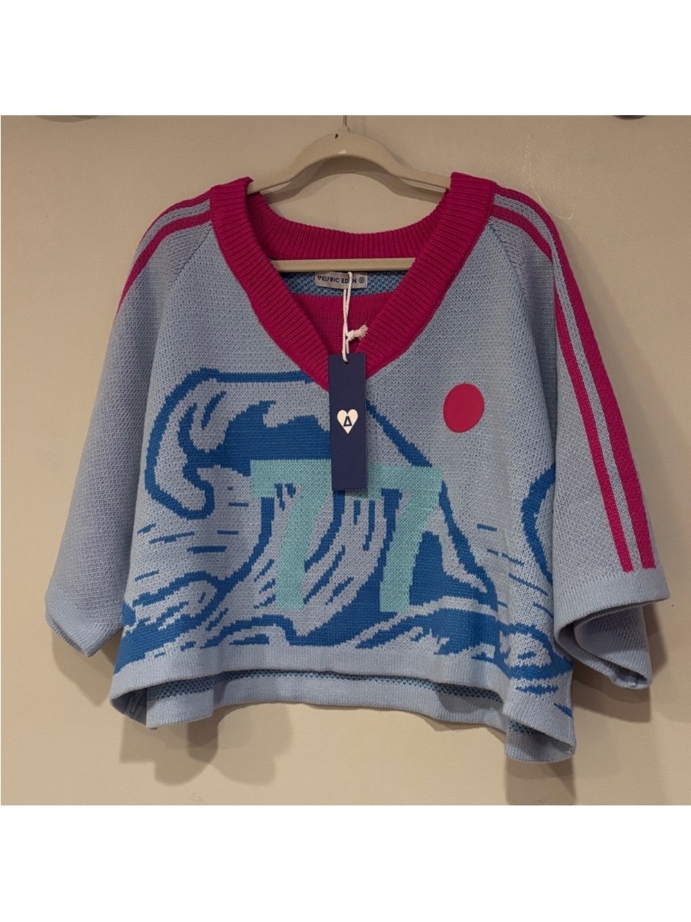 Aelfric Eden Cropped Light Blue & Pink V-Neck Graphic Knit Sweater